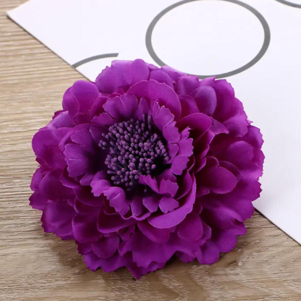 菊花开