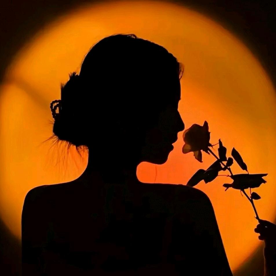 娟娟老师 sunflower