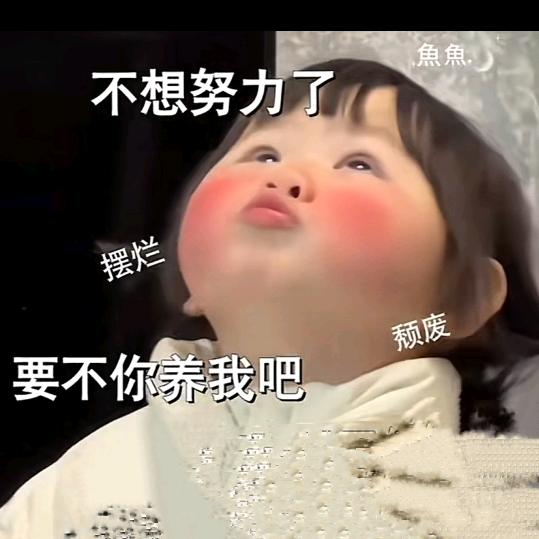 人生需要自渡~◡❛