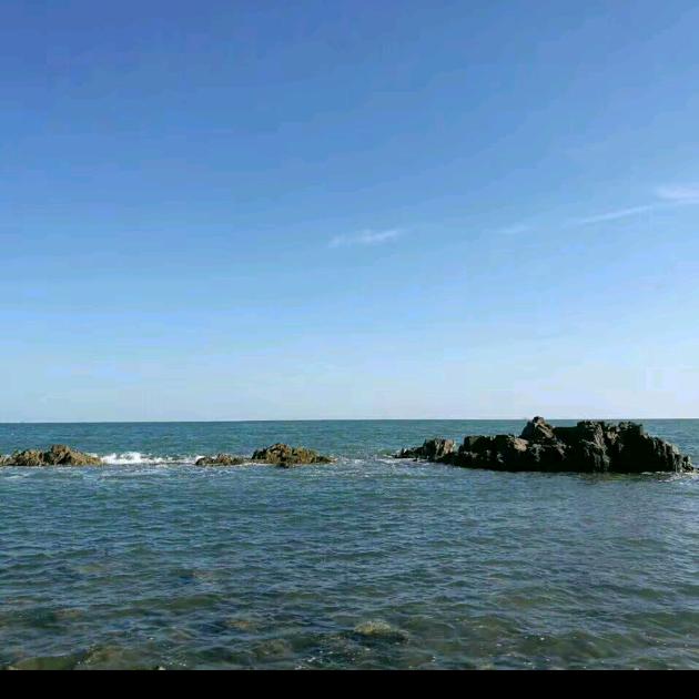 🌼🌼  好运降临，财运亨通。