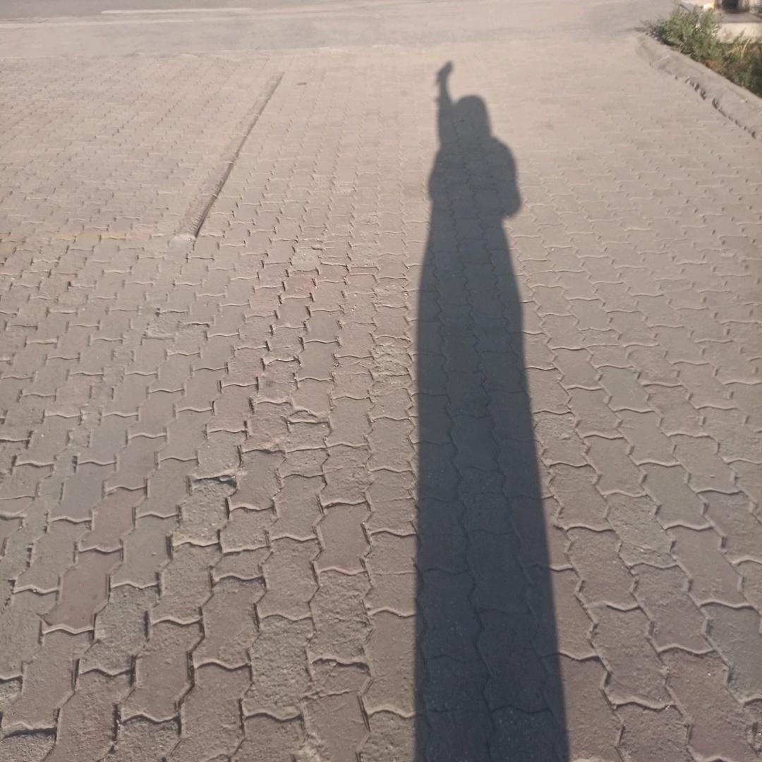 ᴮᶠ·娜诺（首播）