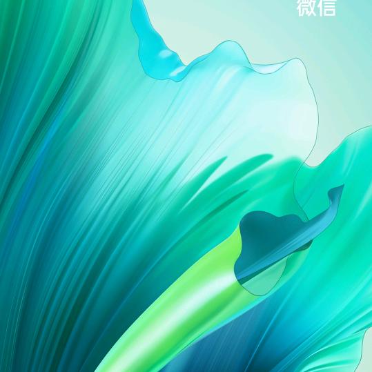 陈老师雪莲