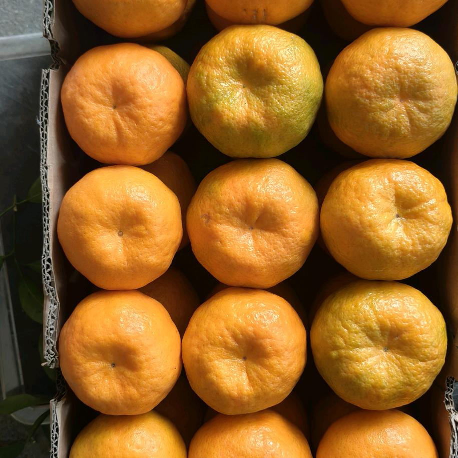 湖北岩松坪水果店铺