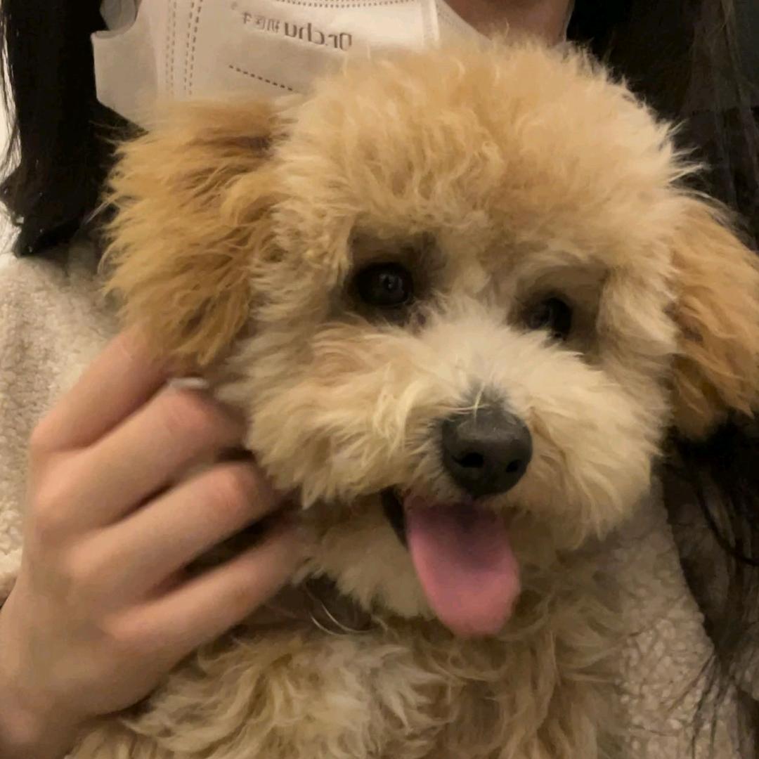 开开心心小开心0818