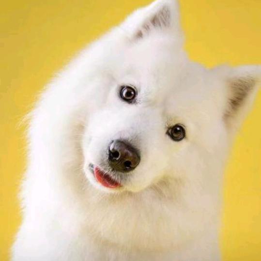 一半烟火！一半情怀！