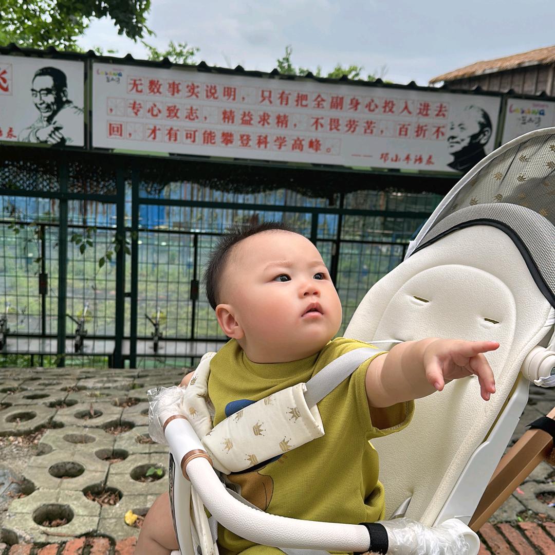 黄山归来不看岳