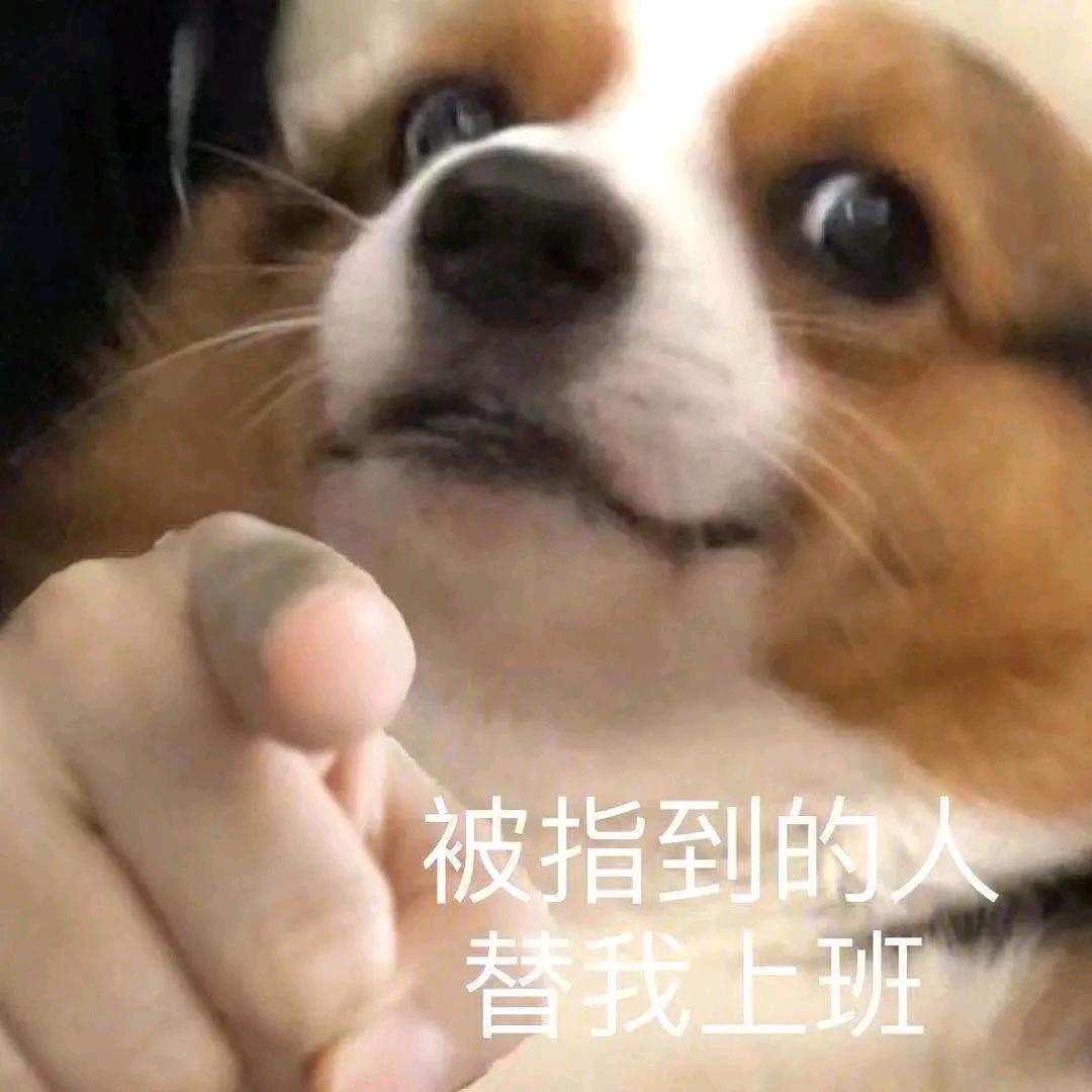 快住口吧
