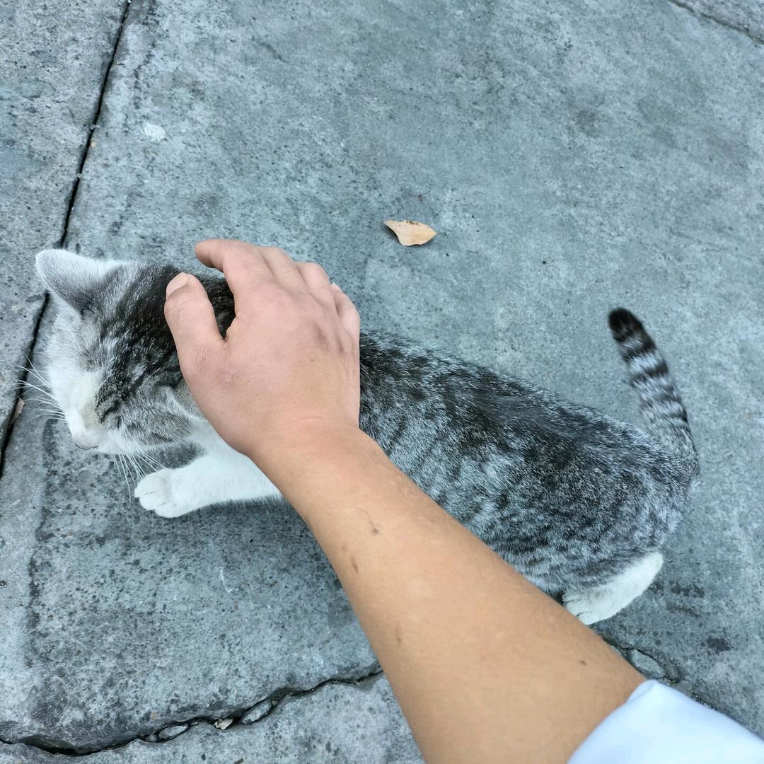 ...…。