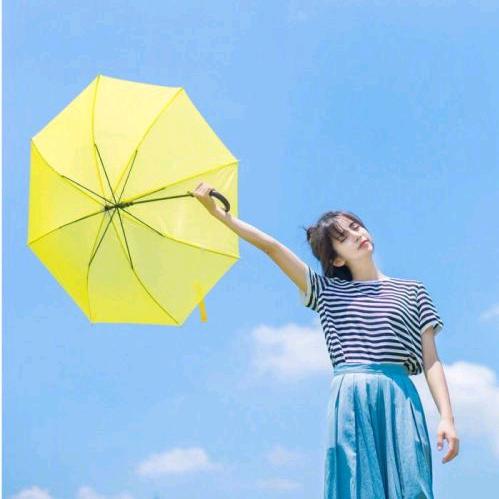 双妹儿