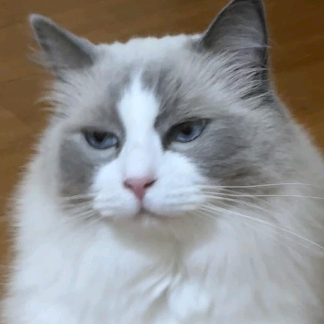 五号病人李雾月