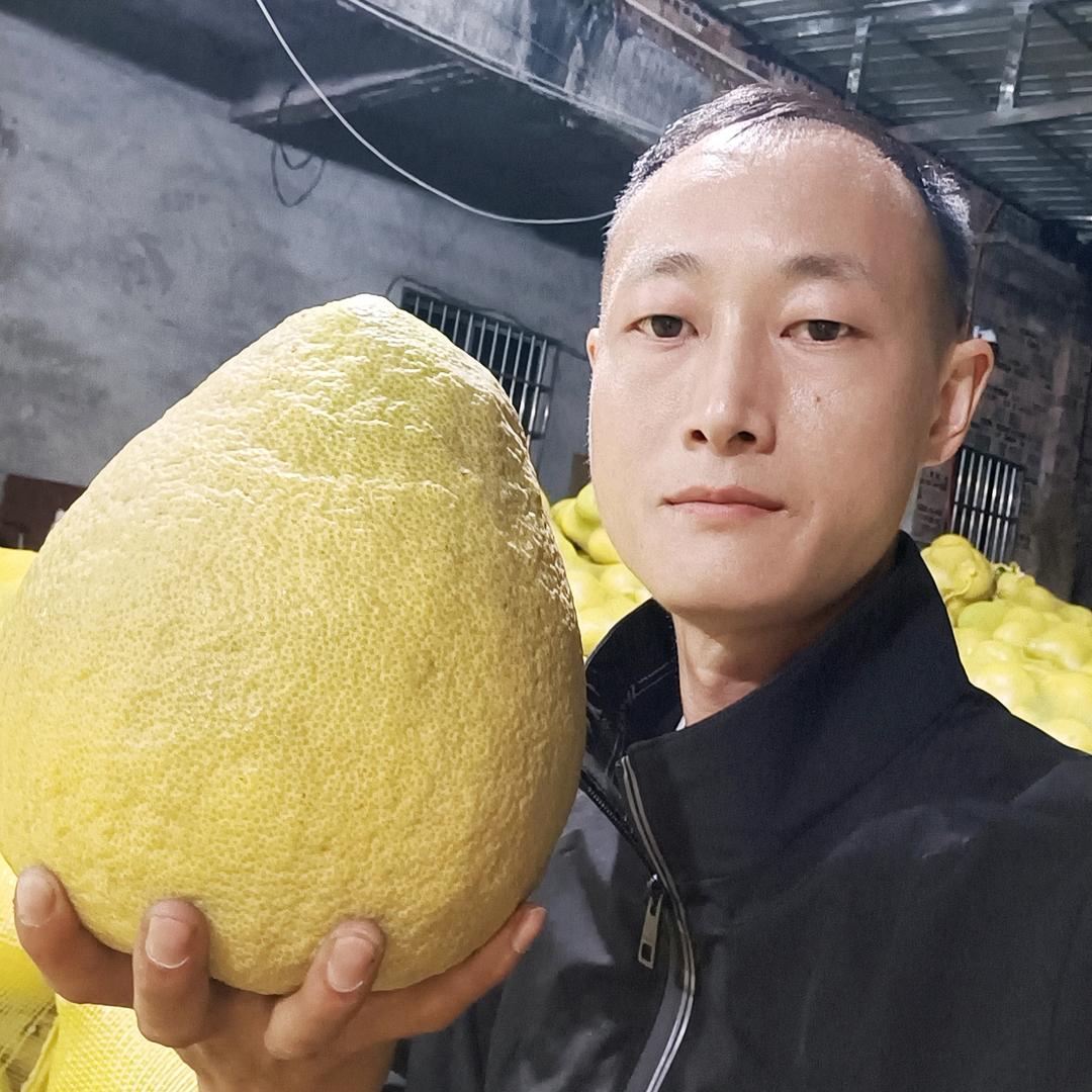 真龙疯子