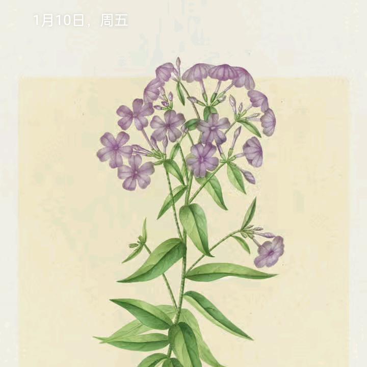 幸福一生