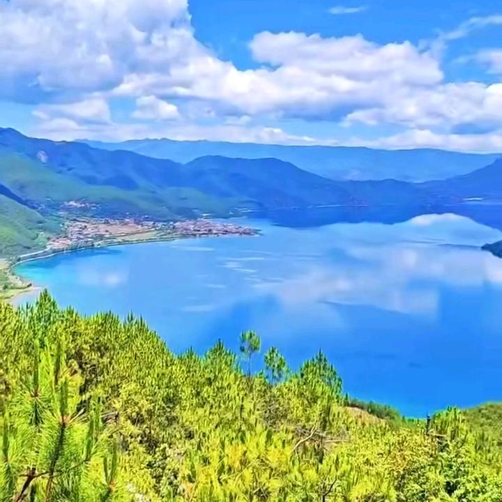 阳光林海