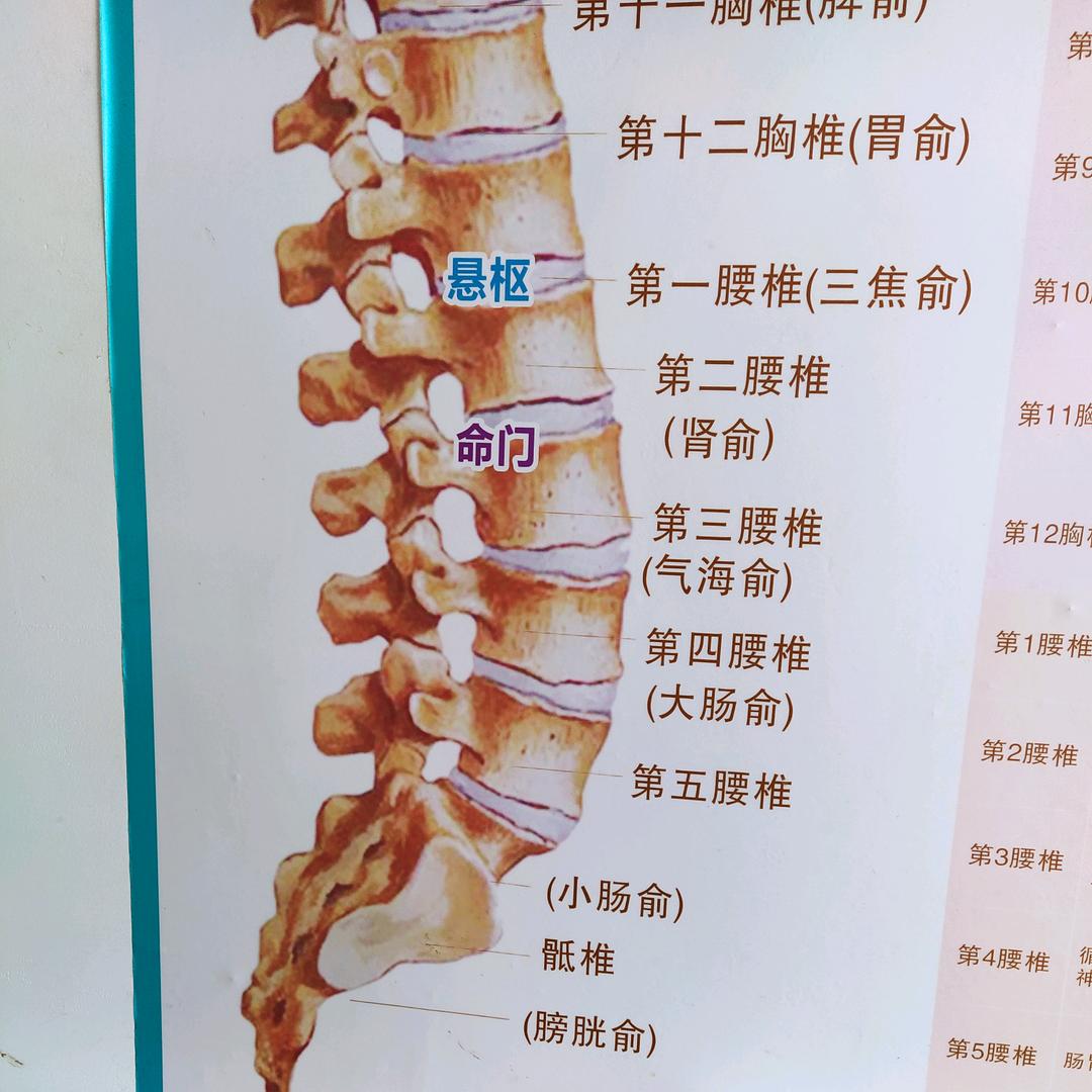 中意堂八宝紫金膏五代传人