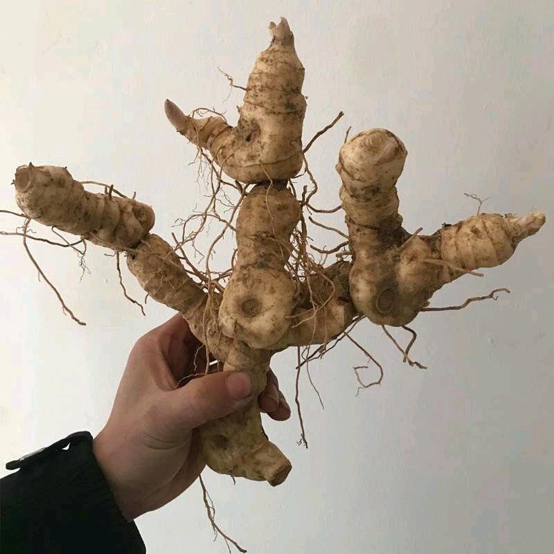 尔界风澜滋补专卖店