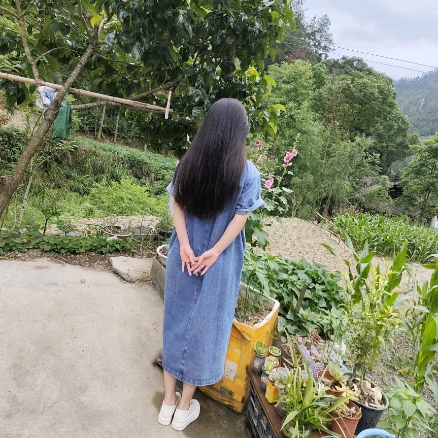 刘家三小姐