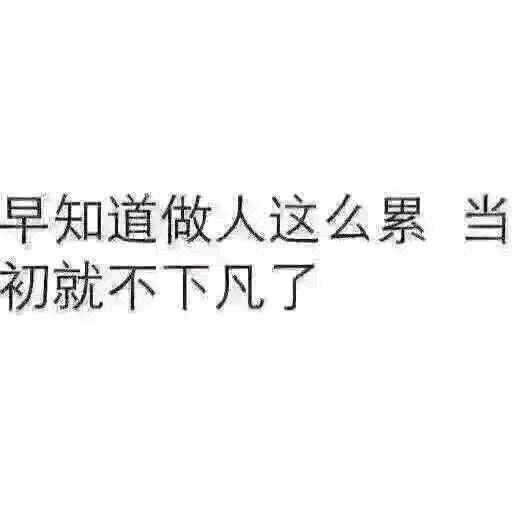 哲宝
