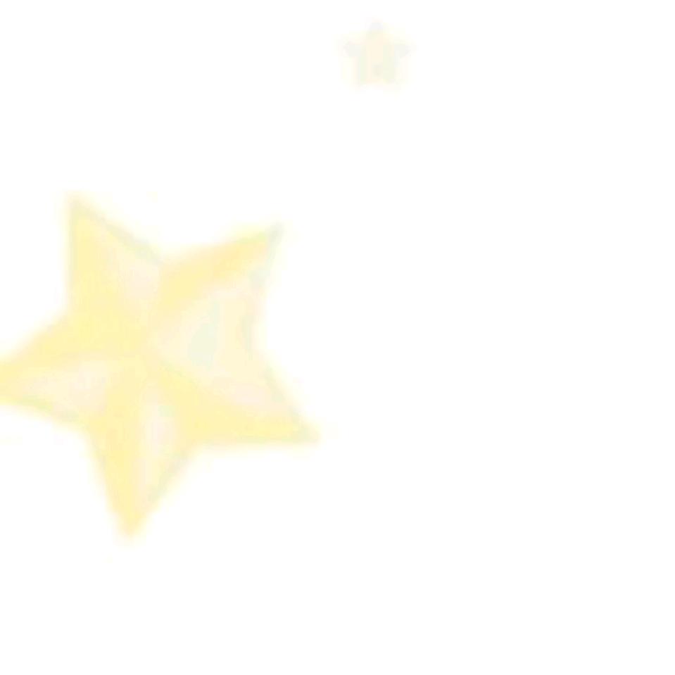 新星兴
