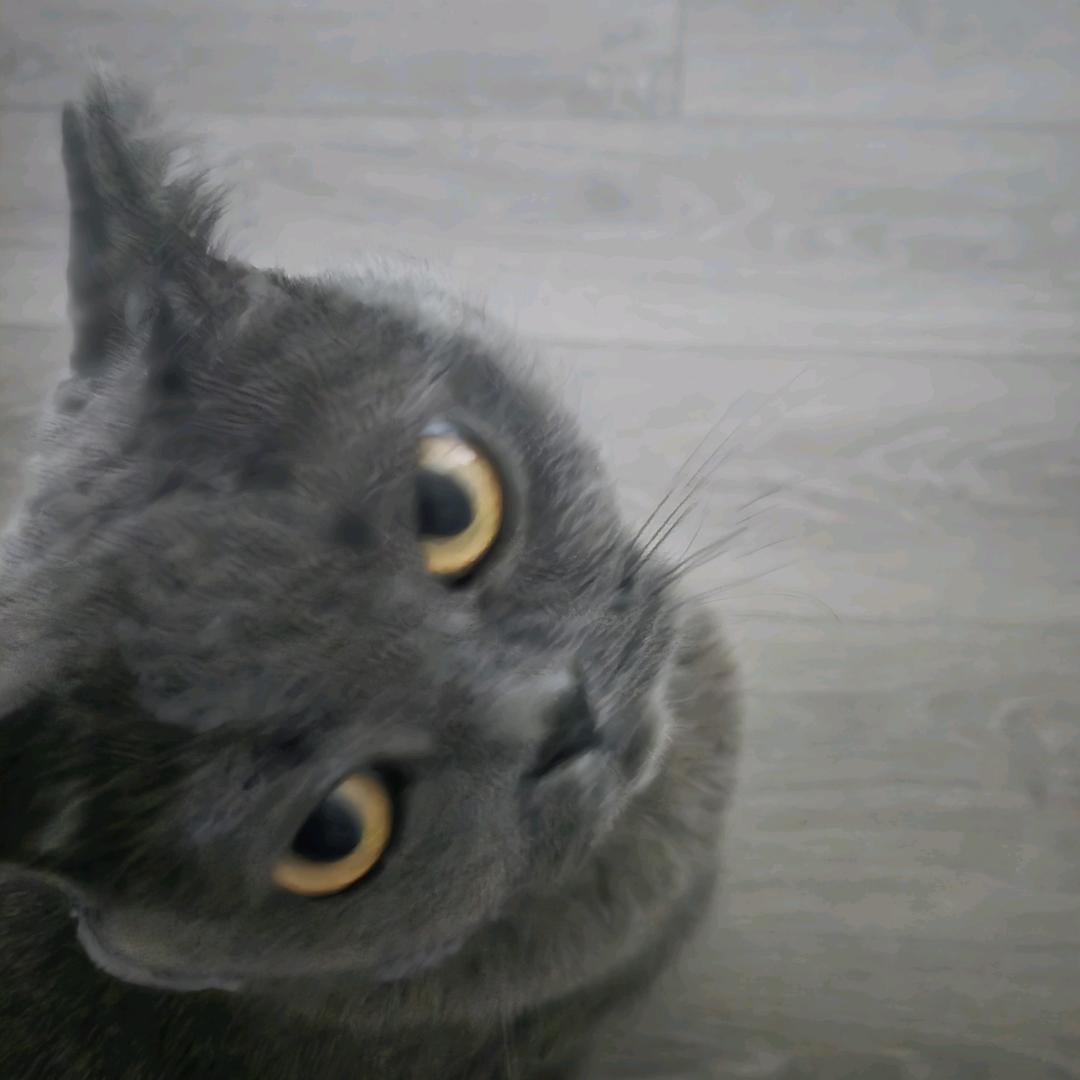 下巴很平的阿璇