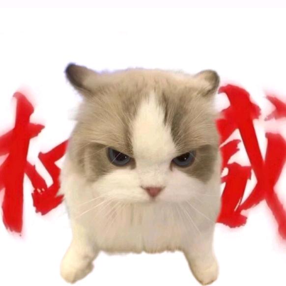佛系啊