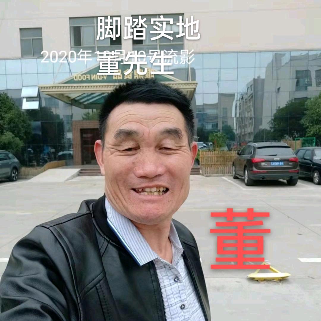 江苏睢宁双沟董先生