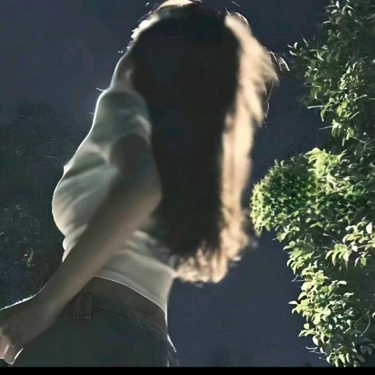 纪海豚