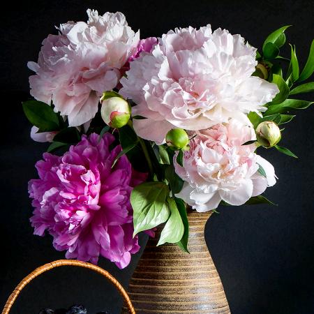 株洲市顾阮网络科技有限公司