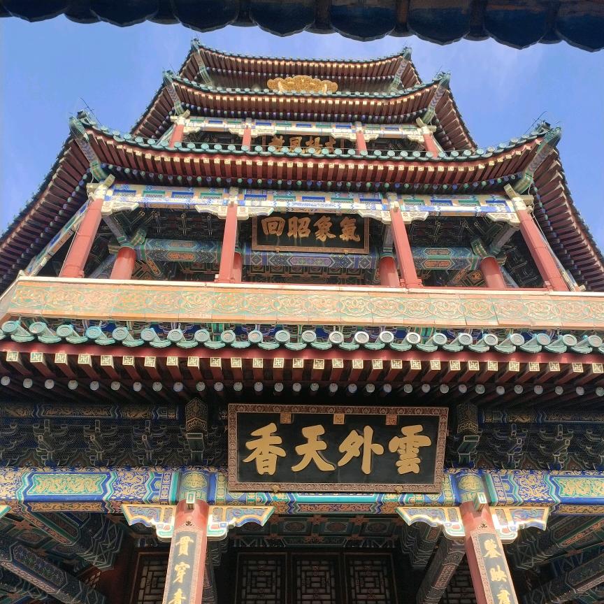 火🔥儿