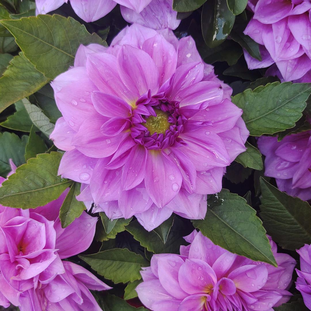 坚持总会有收获