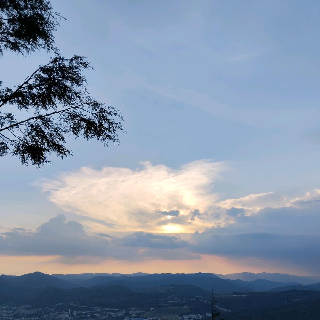 普罗旺斯的番茄