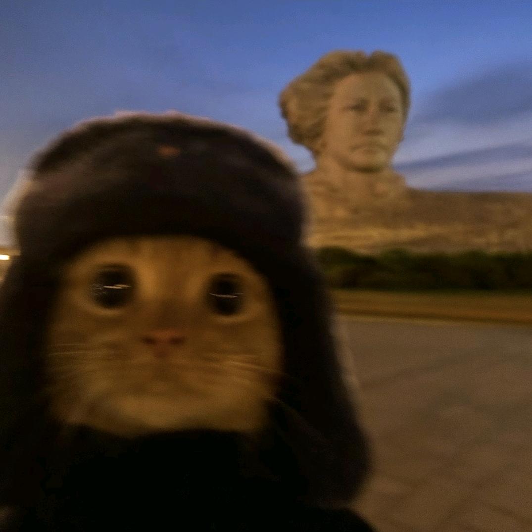 变成小猪呼噜噜