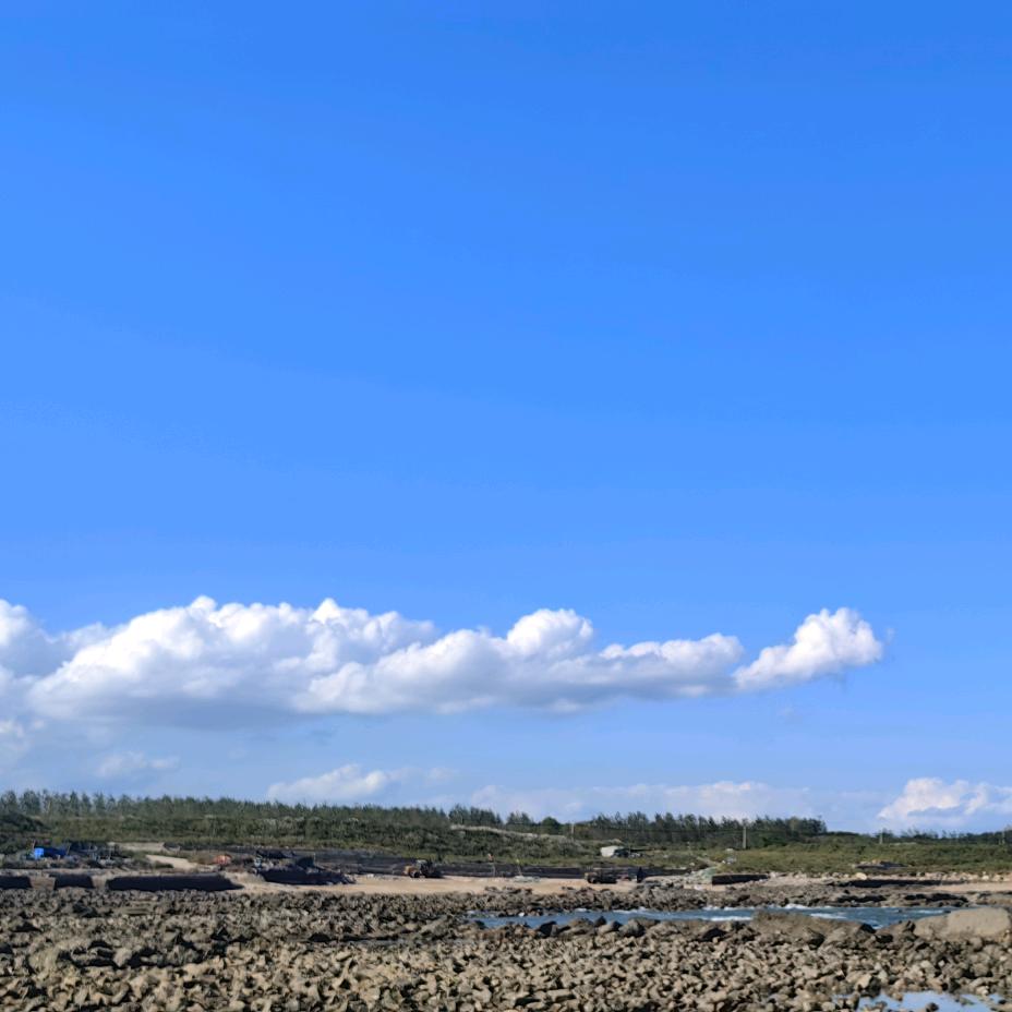 浮世清欢风陵渡