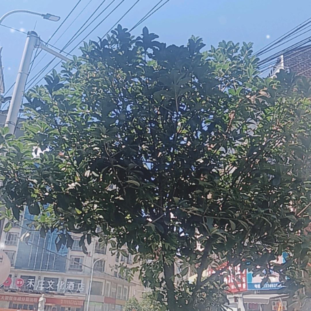逗你开心