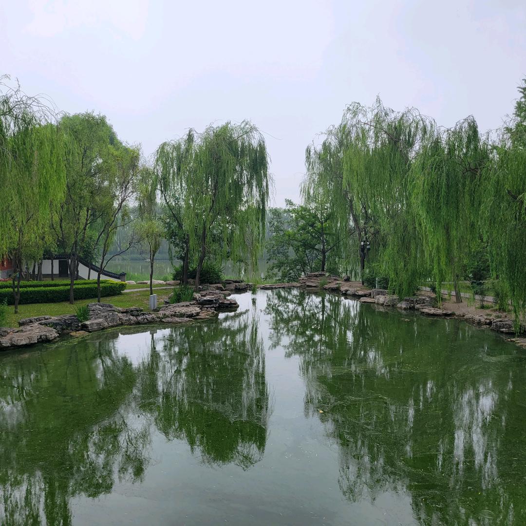 闫江