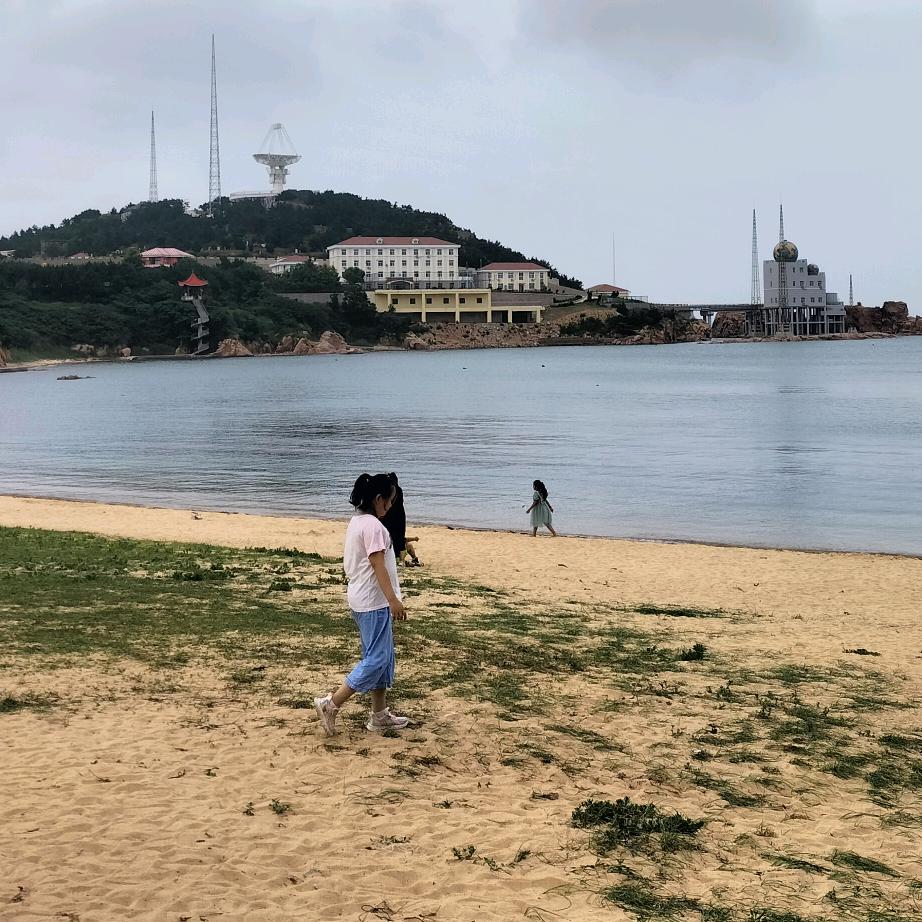 军