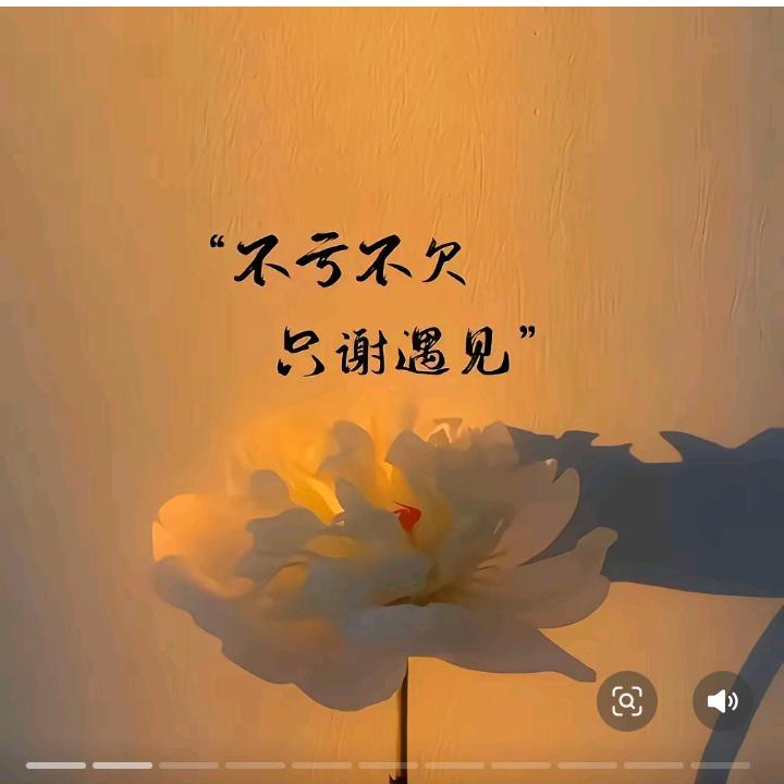 静心❤️