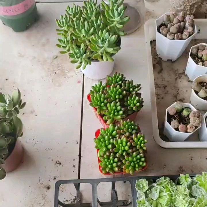 火火火