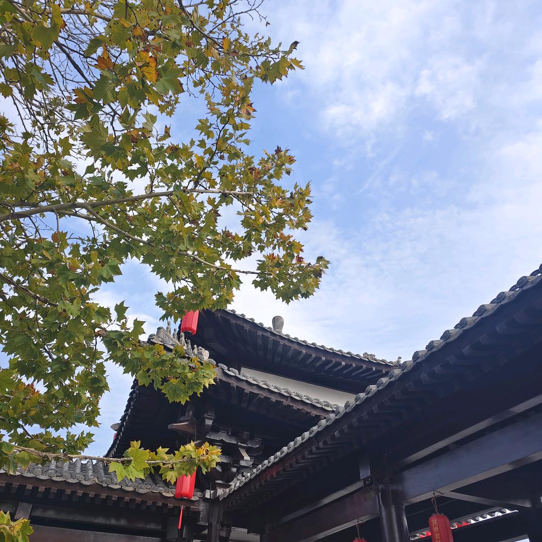 青禾