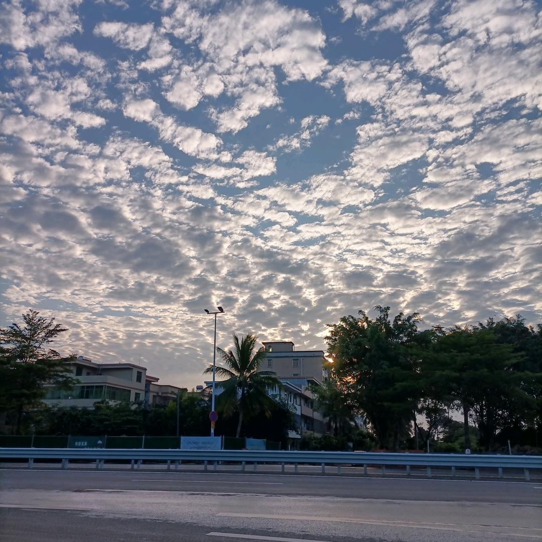 墨海飘香