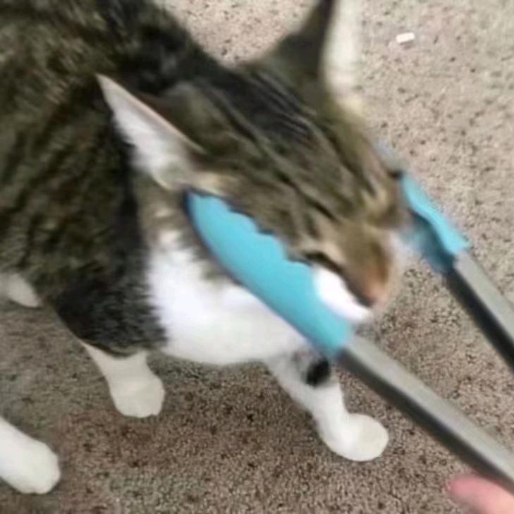 牛油果芥末薯片