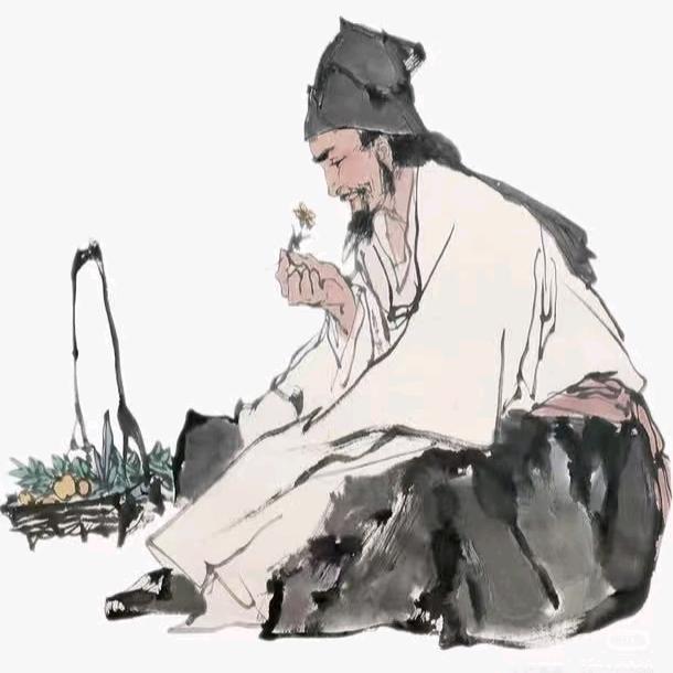 芫荽