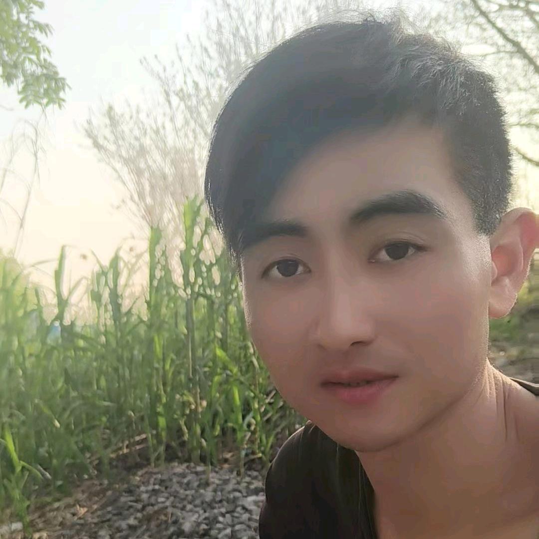 情歌 王子