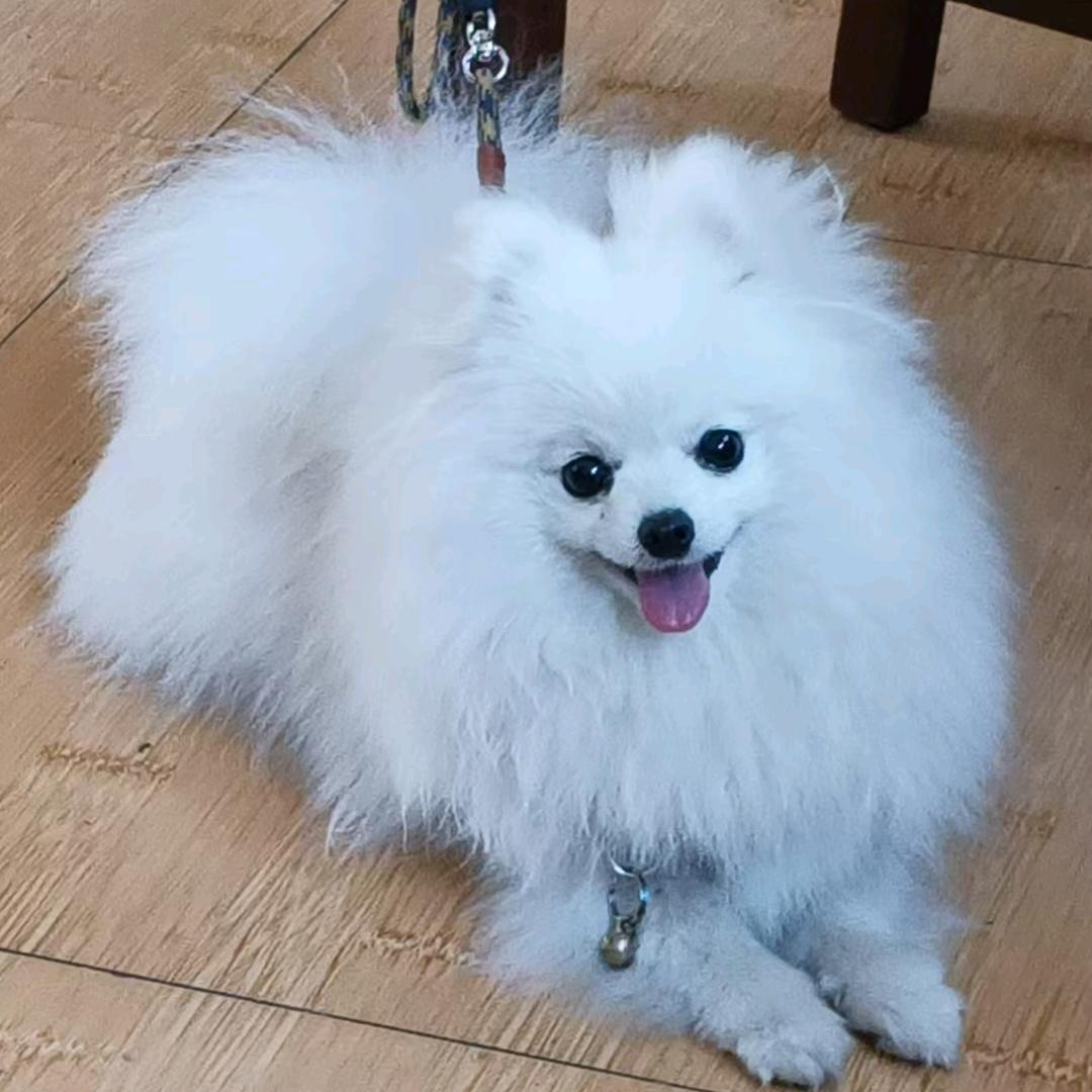 魏彤蓉