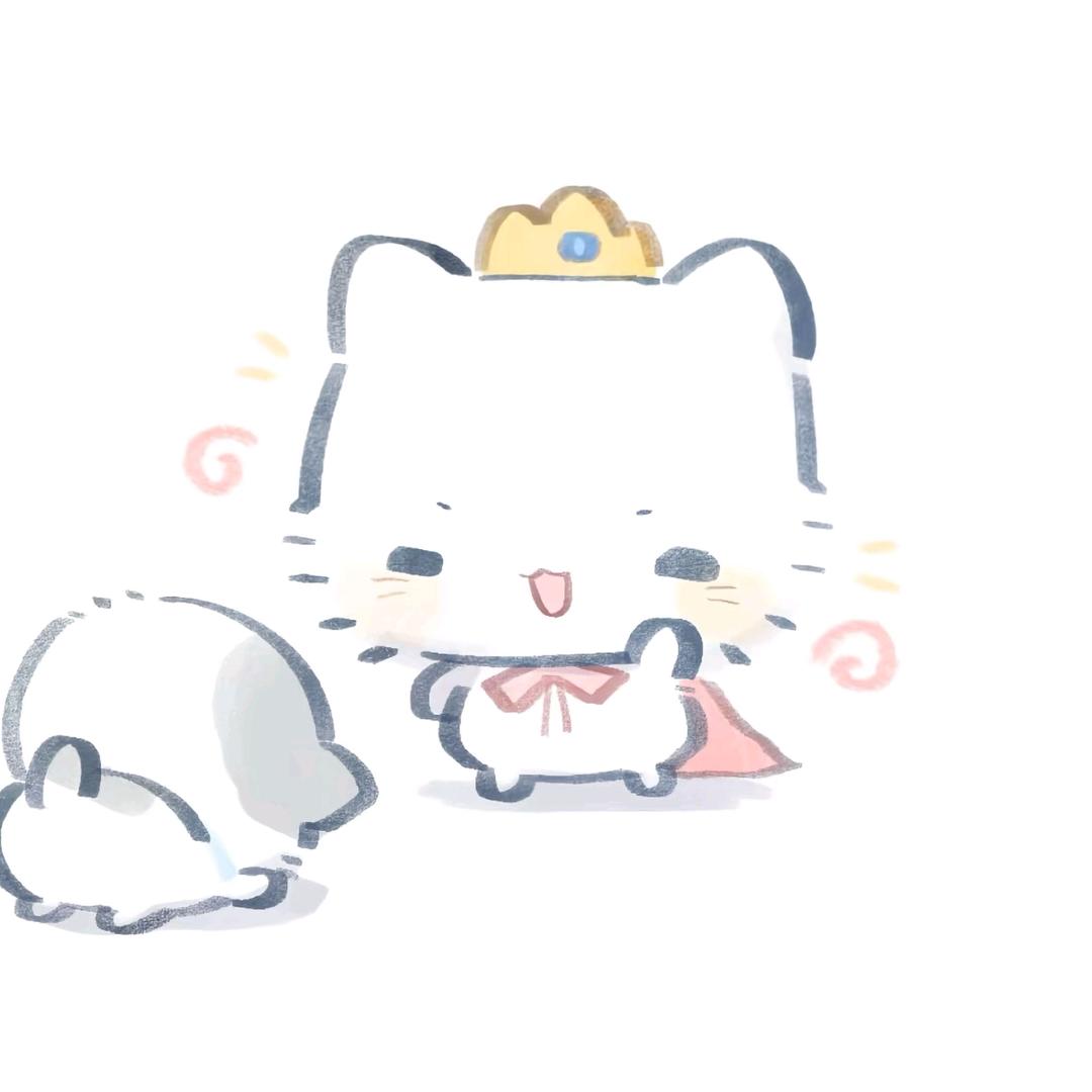 喵k绑