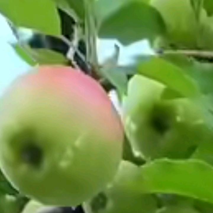 123123