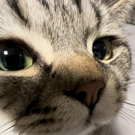 LZY人（暗部天王）