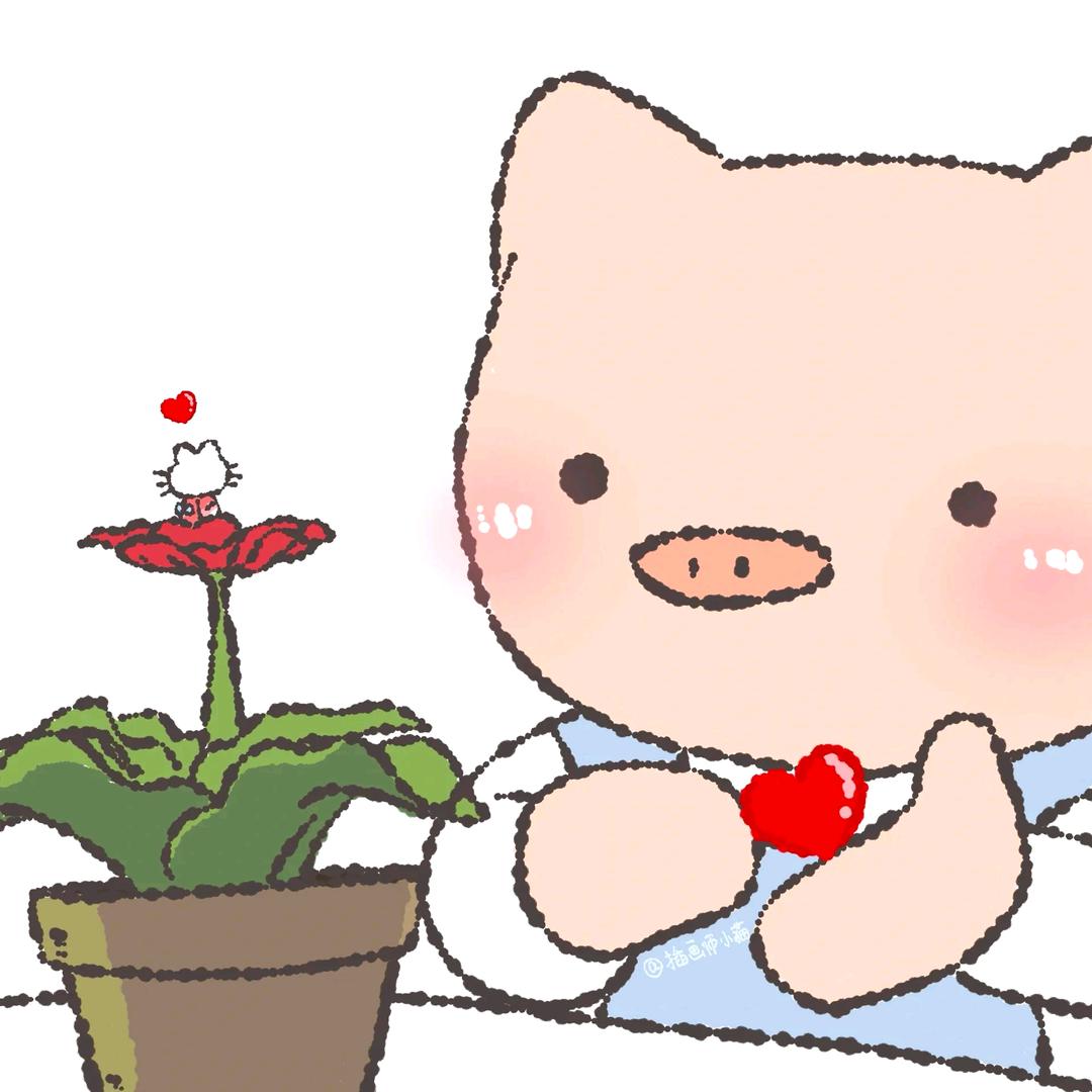 嘟嘟的屁屁崽🐷