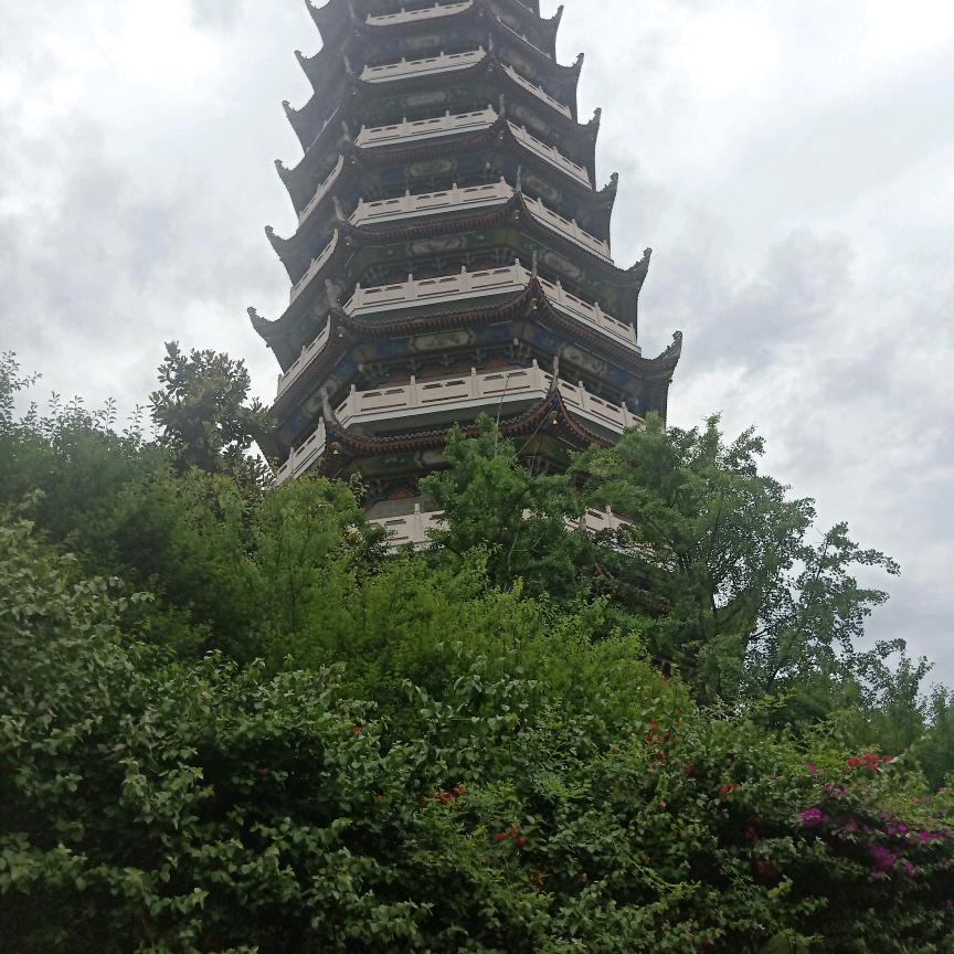 尽力而为