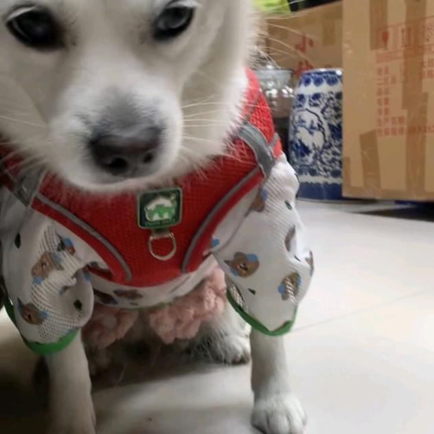 通知