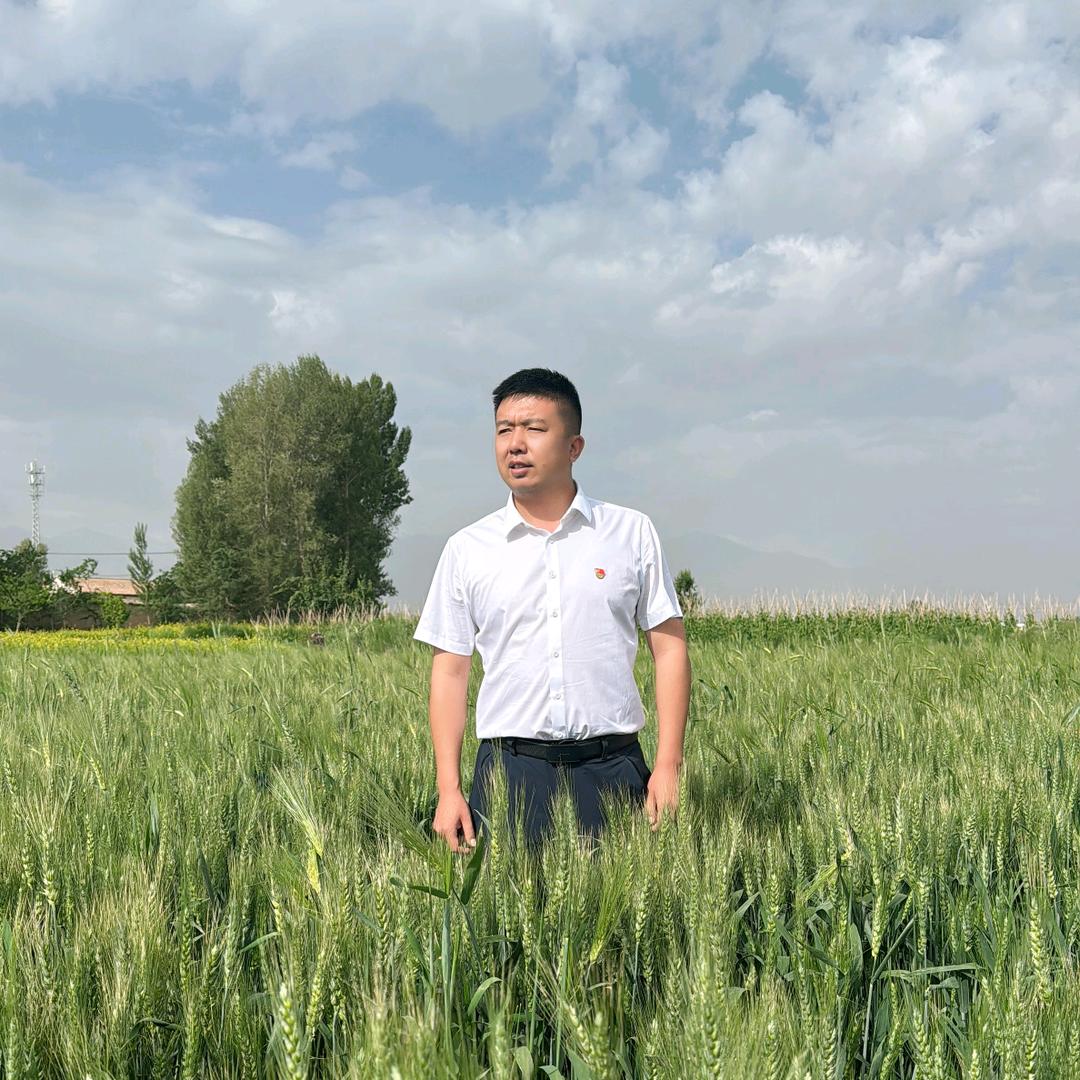 陈鹏 楼庄村第一书记